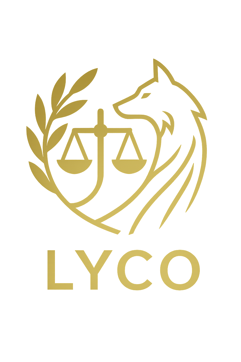Lyco Inc